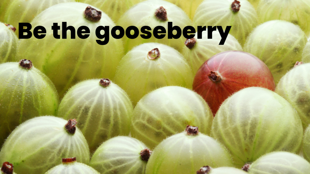 Be the gooseberry